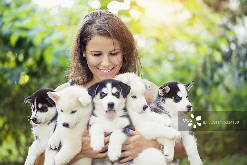 欢快的年轻女性抱着5只可爱的哈士奇宝宝小狗图片素材