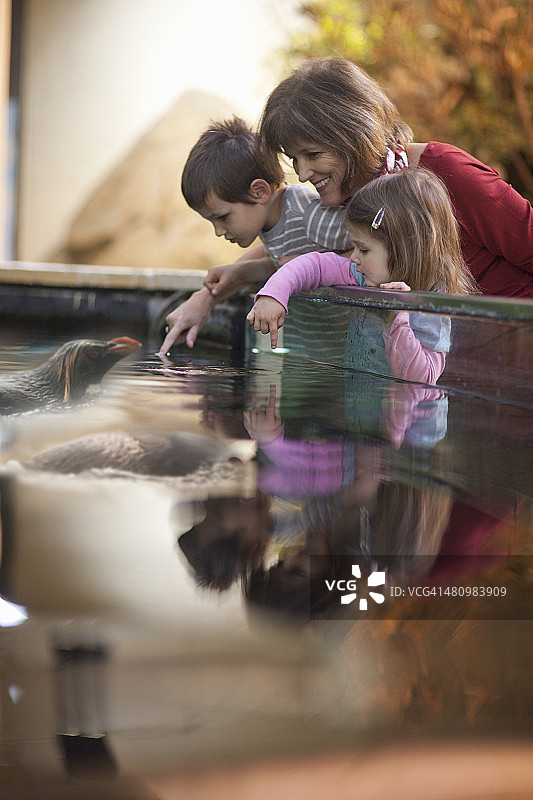 年幼的孙子和祖母在动物园看企鹅图片素材