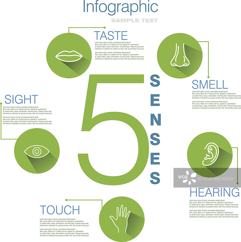 五感信息图设计图片素材