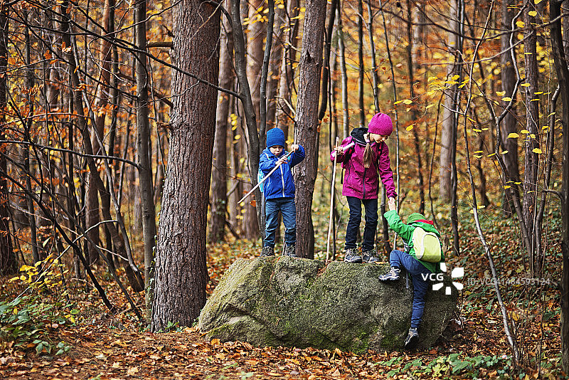 孩子们在秋天的森林里徒步旅行图片素材