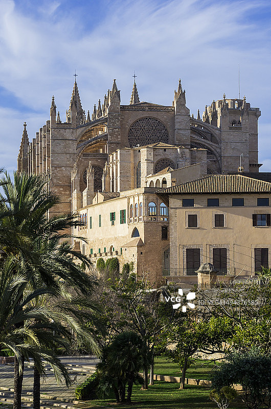 西班牙，马略卡岛，帕尔马，拉苏大教堂图片素材
