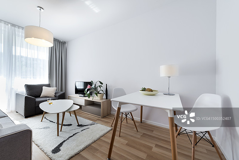 斯堪的纳维亚风格的现代室内设计房间图片素材