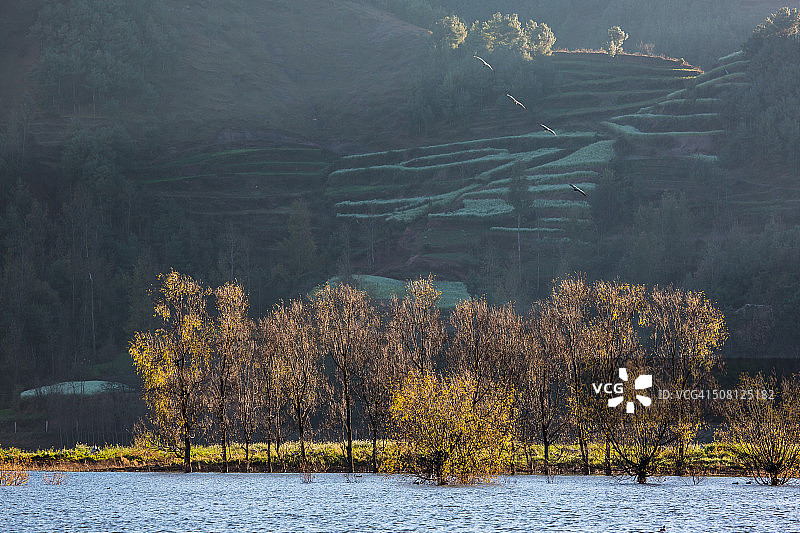 云南年湖的湿地风光图片素材