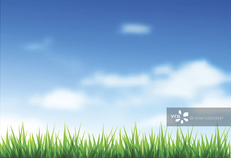 绿色的草和蓝色的天空图片素材
