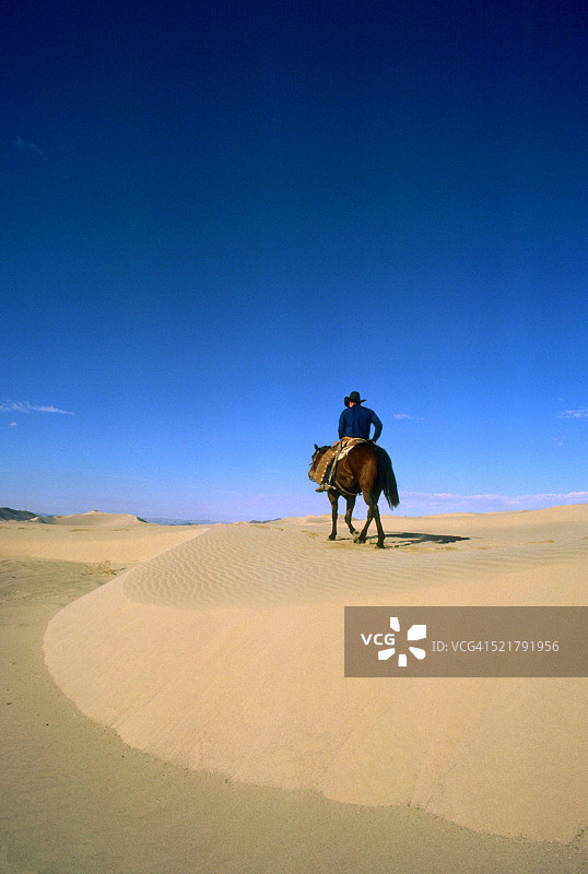 沙漠中的马与骑士图片素材