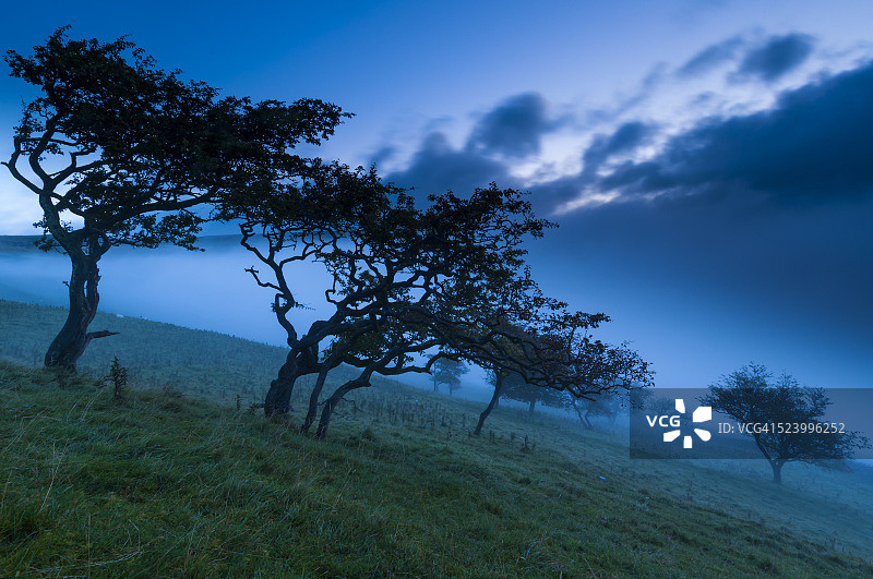 马勒姆湾山楂树的黎明。约克郡山谷。英国。图片素材