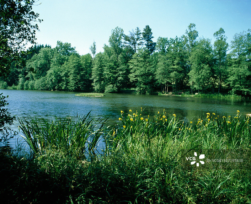 德国埃伯尼湖周围的风景图片素材