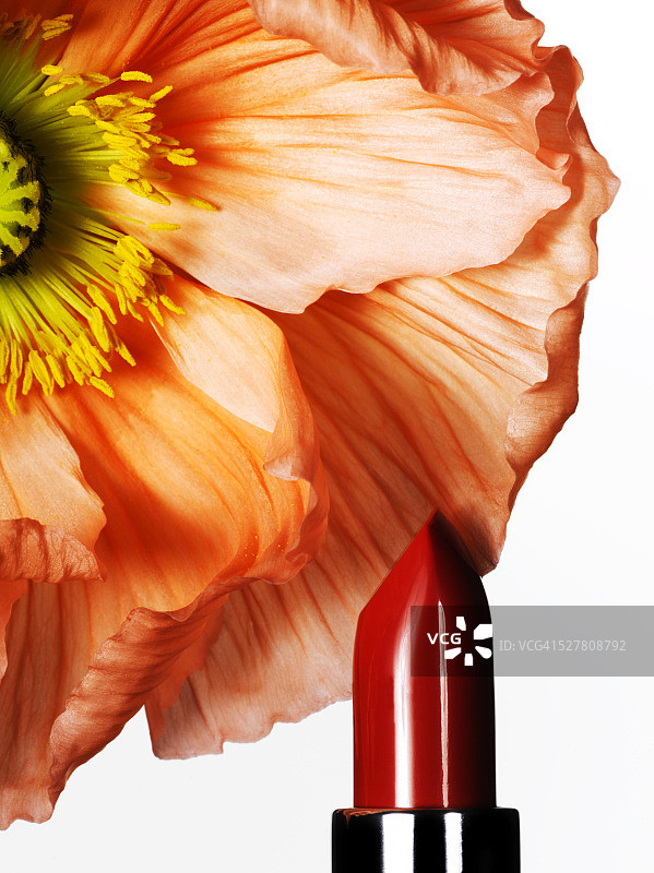 红色唇膏和橙色花朵的工作室拍摄图片素材