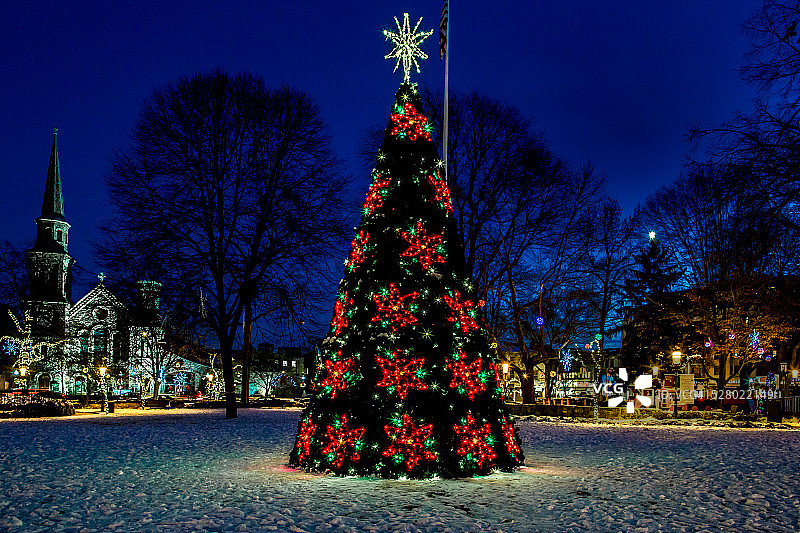 广场上的圣诞树图片素材