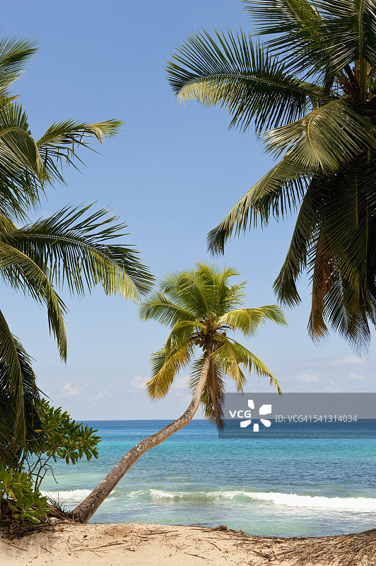 塔卡马卡海滩，塞舌尔，印度洋岛屿图片素材