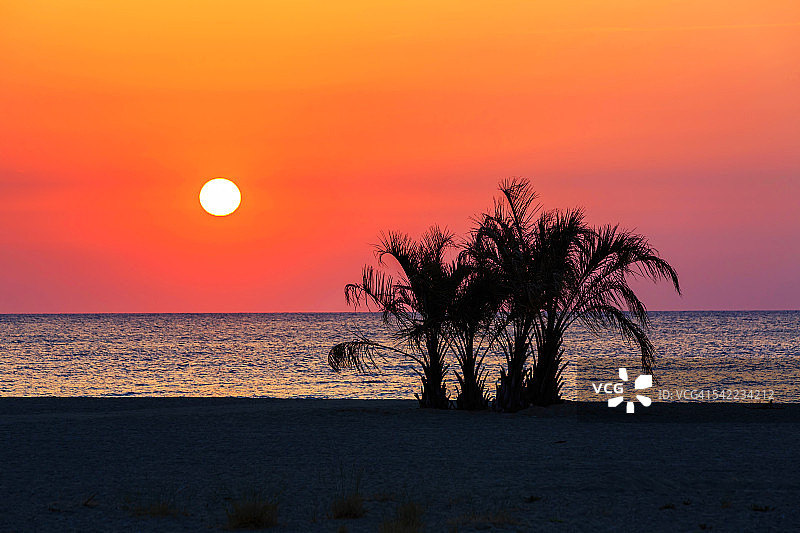 海滩上俗气的日落，还有棕榈树的剪影图片素材