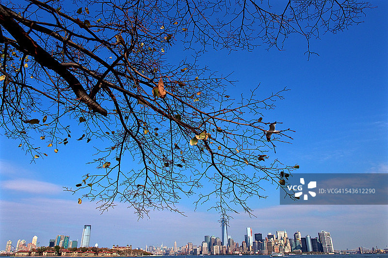 纽约的秋天图片素材
