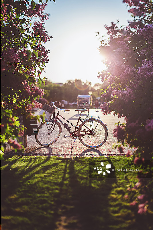 自行车在日落时分。图片素材