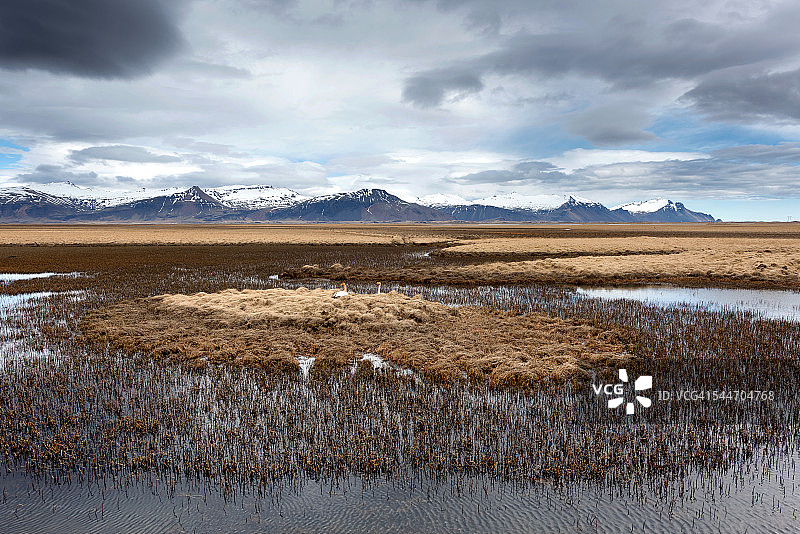 冰岛的景观在春季图片素材
