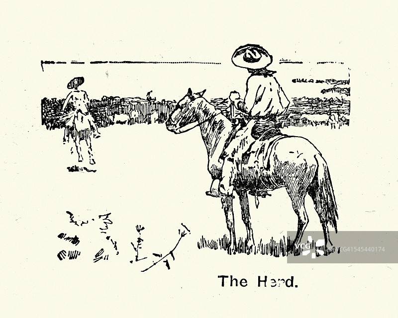 牛仔和一群牛，1894年图片素材