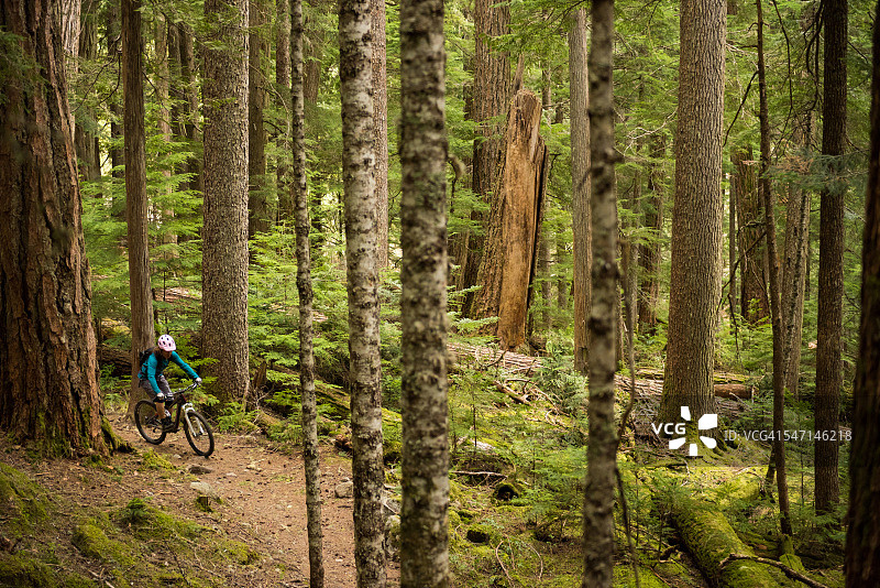 在原始森林里骑自行车图片素材