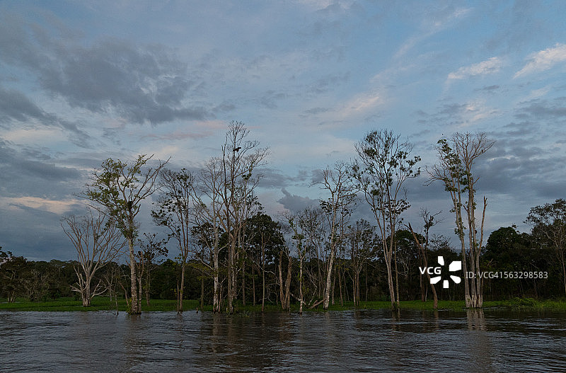 亚马逊的黎明图片素材