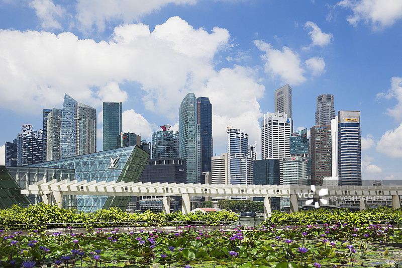 新加坡共和国，新加坡，天际线滨海湾区与百合池在前景图片素材