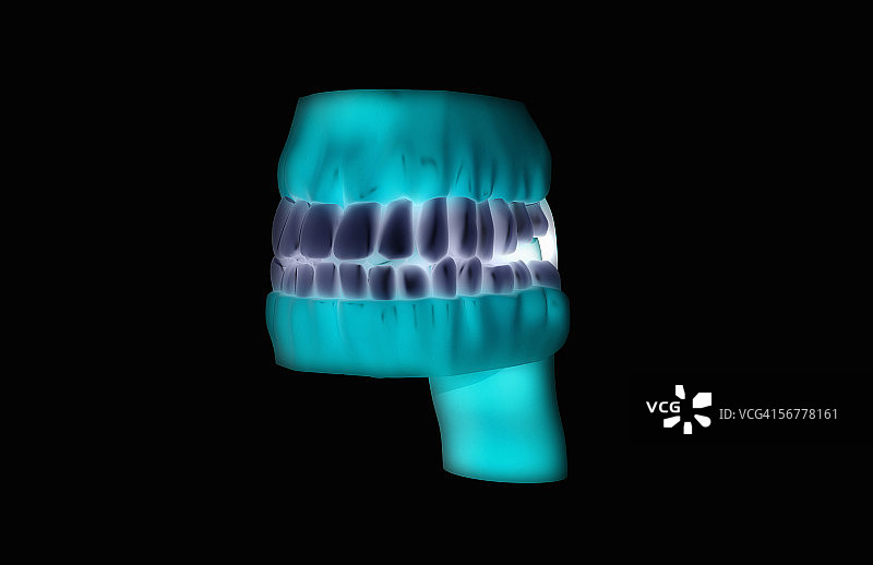 牙龈和牙齿的前角，程式化的视图。图片素材