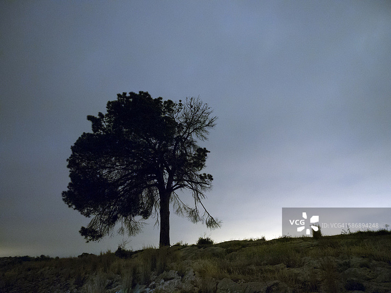 夜景，山上一棵大树的剪影图片素材