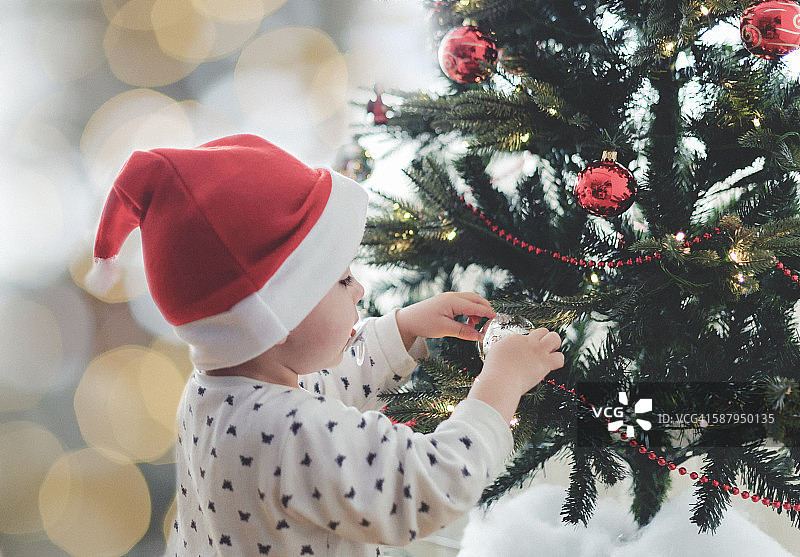 小男孩用雪装饰圣诞树图片素材