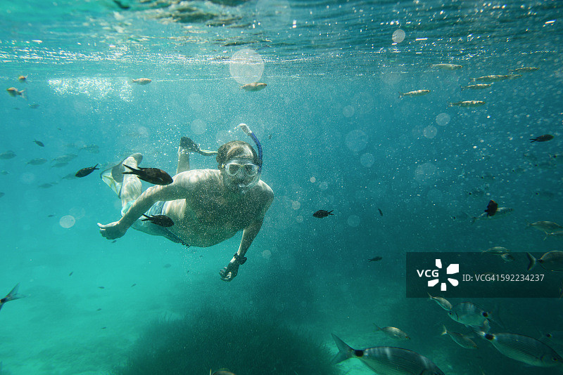 水下的成熟男子浮潜，梅诺卡岛，巴利阿里群岛，西班牙图片素材