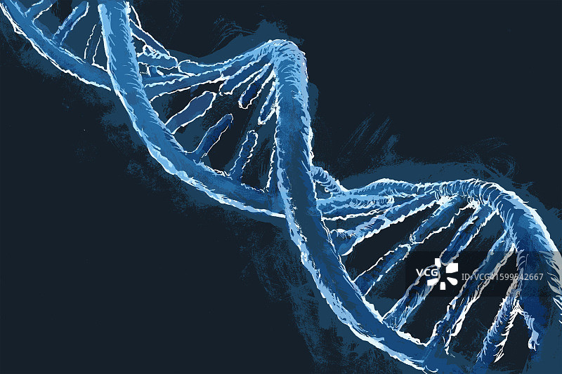 蓝色DNA分子的图解图片素材
