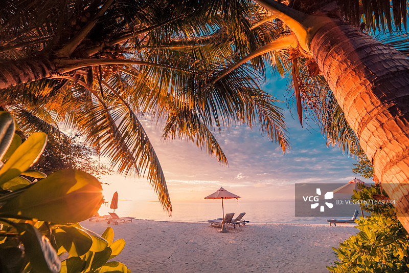 黄昏夏天的海滩景观与太阳床和棕榈树。美丽的马尔代夫海滩日落天堂。图片素材