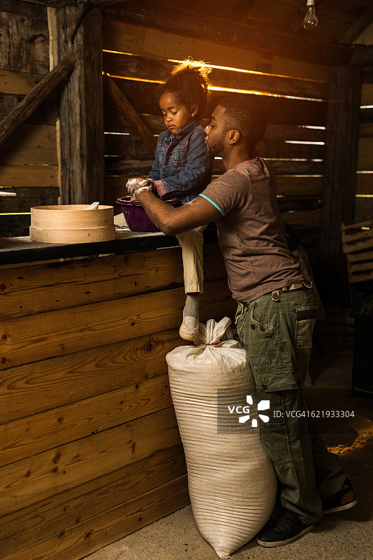 小女孩在磨坊里帮助她的父亲面粉。图片素材