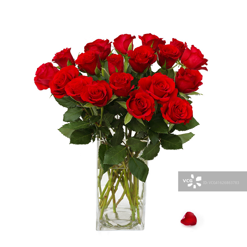 一朵红玫瑰从花瓶上掉了下来。图片素材