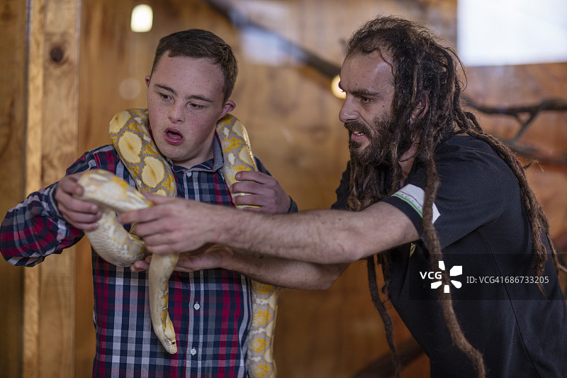 动物服务员移交白化蟒蛇与年轻男子唐氏综合症图片素材