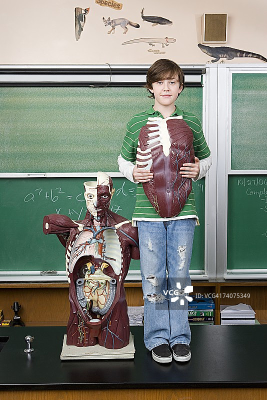 带解剖模型的男孩图片素材