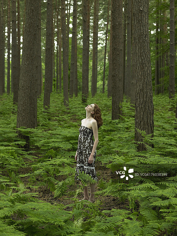 年轻女子站在森林里，抬头看图片素材