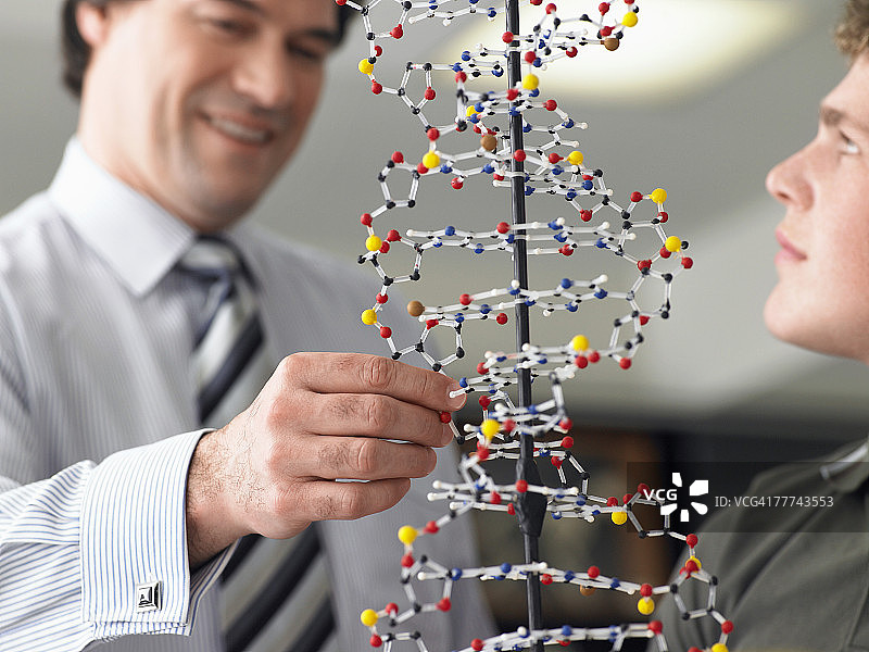 老师和学生的DNA模型图片素材