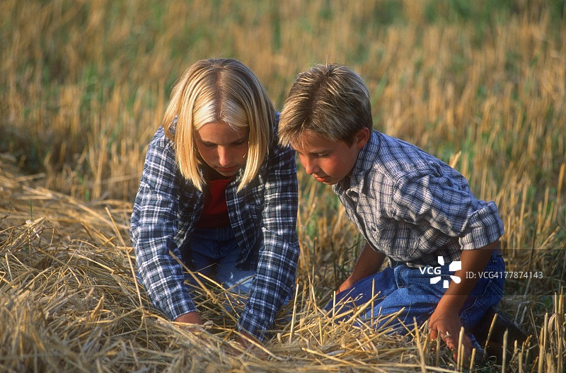 两个孩子在干草中寻找图片素材