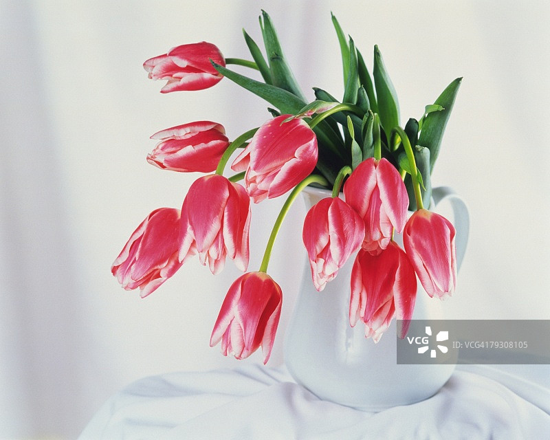 花瓶里的郁金香，近距离，高角度视角图片素材