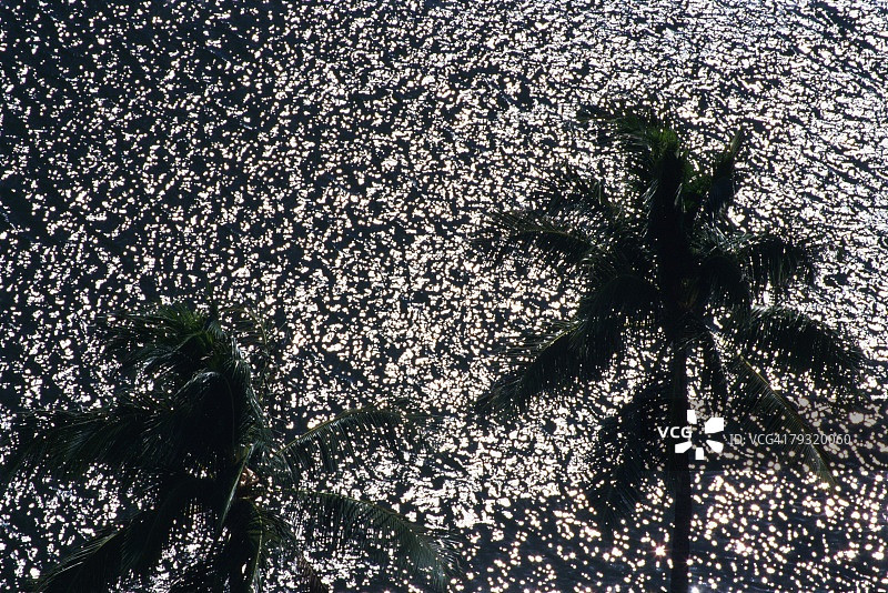 棕榈树的影子在波纹，高角度的观点图片素材