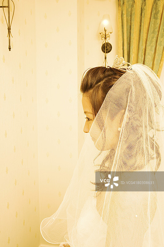 年轻的新娘,特写图片素材