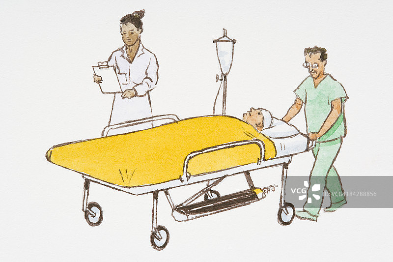 插图护士阅读剪贴板，医院的搬运工推着昏迷的病人在床上走图片素材