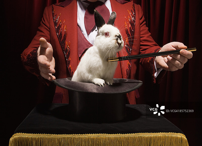 戴着帽子的兔子魔术师。图片素材