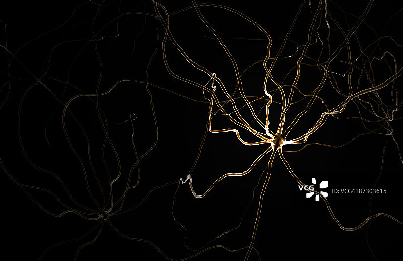 神经元图片素材