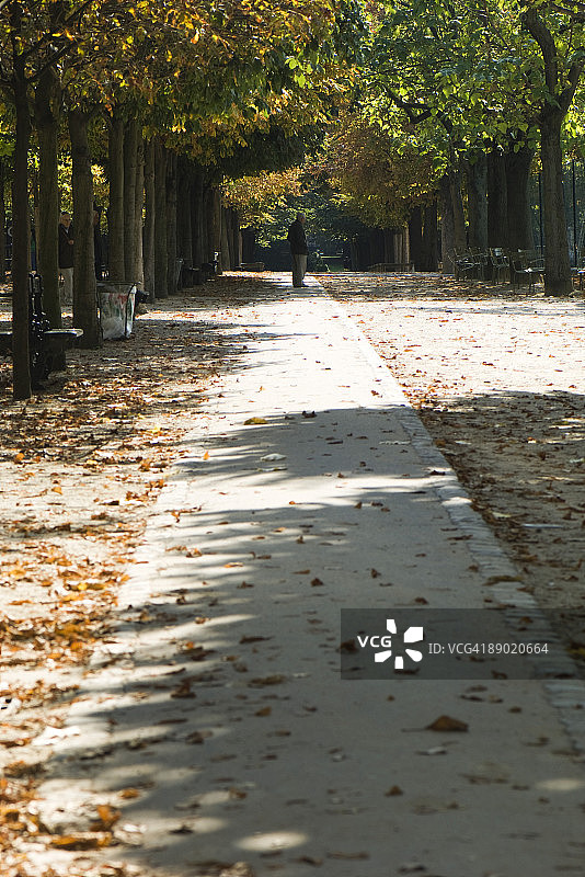 法国，巴黎，树叶散落在公园的小路上图片素材