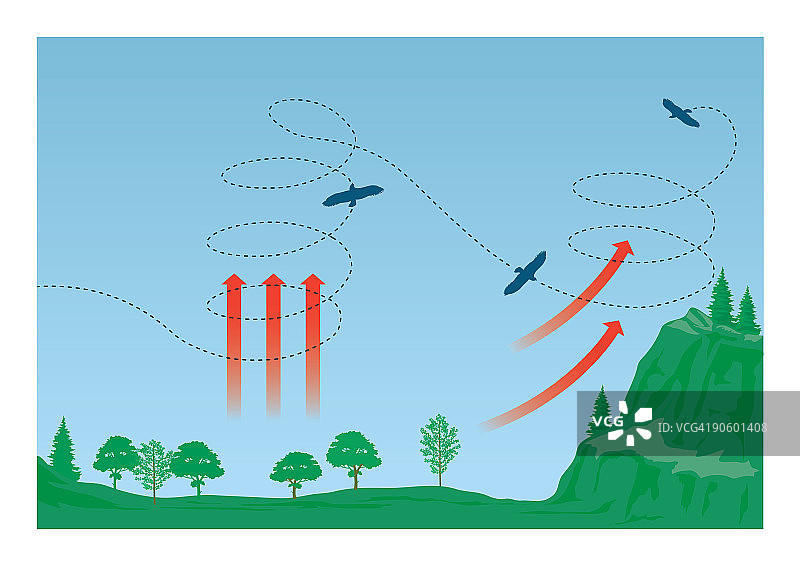数字插图的鹰翱翔使用热空气柱称为热上升气流形成图片素材