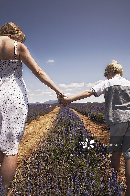 女人和孩子手牵着手在花丛中图片素材