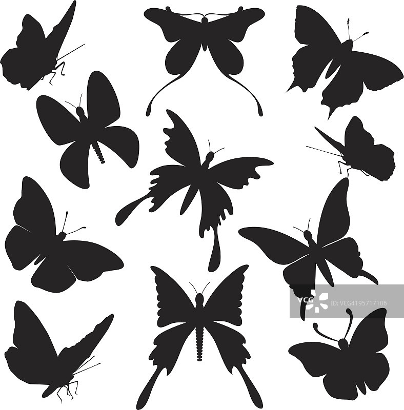 蝴蝶剪影系列各种风格和姿势图片素材