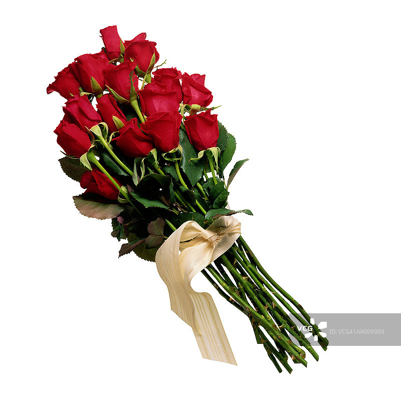 丝带包裹的红玫瑰图片素材