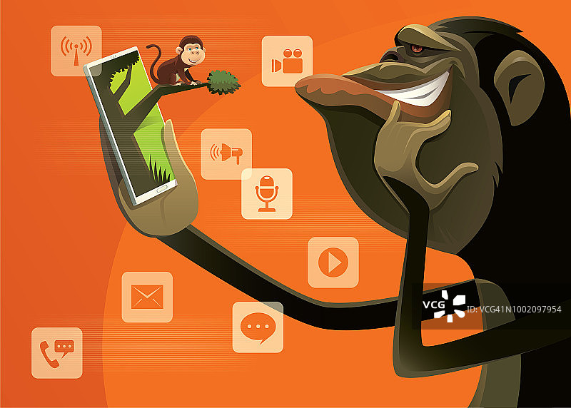 黑猩猩通过智能手机看猴子图片素材