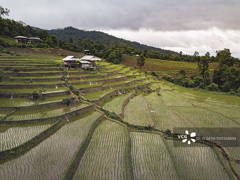 泰国清迈省雨季种植时班帕蓬乡梯田的鸟瞰图。图片素材