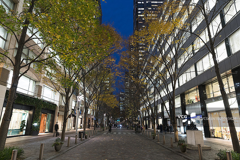 2017年12月12日，在日本东京丸之内千代田的高层写字楼里，一排排被灯光照亮的树矗立在丸之内中道街上，这条街道被许多商店和精品店包围。图片素材