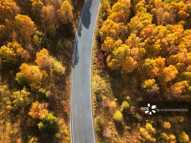 从空中俯瞰穿过秋林的道路图片素材